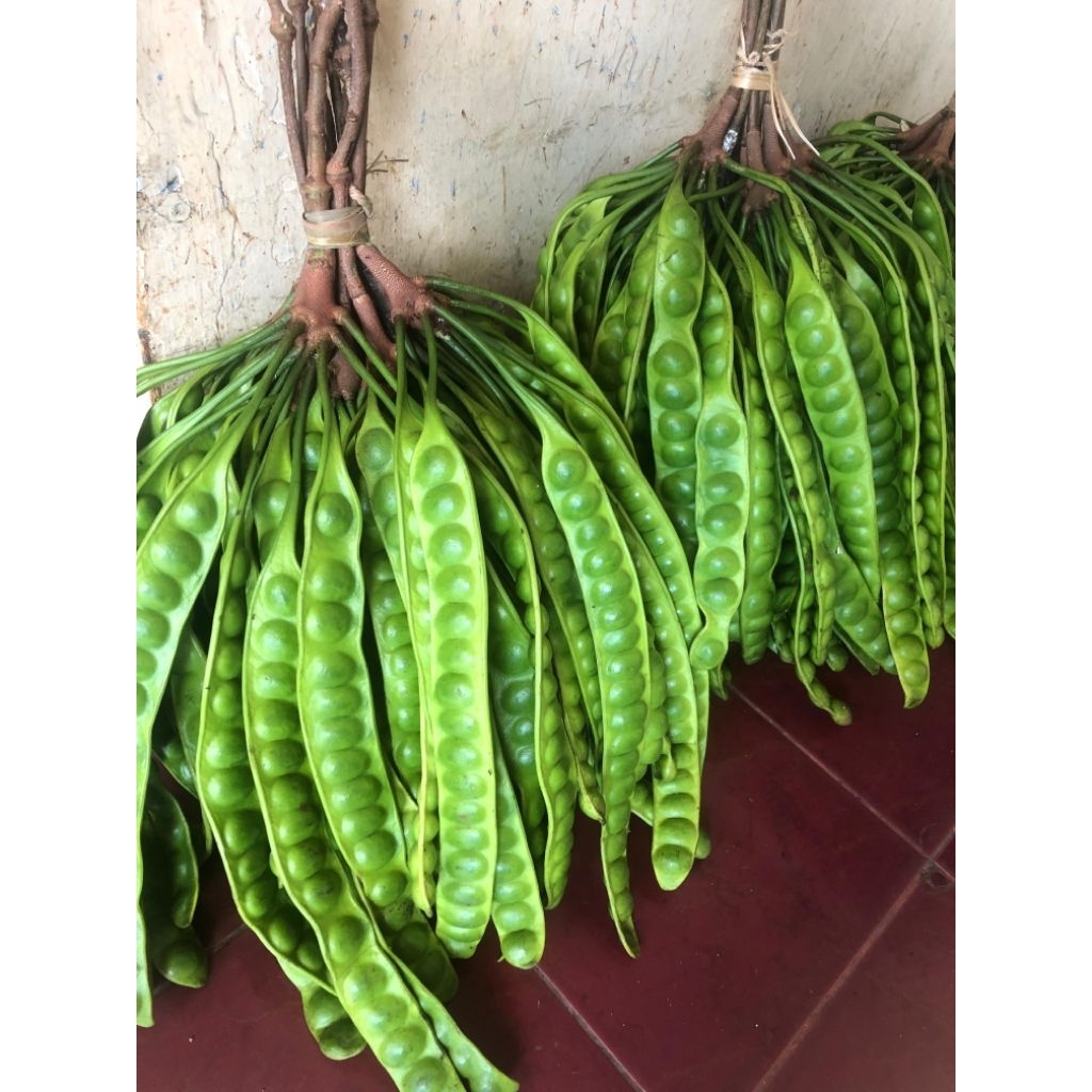 

PETE TUA SUPER 1 ikat isi 10 papan dijamin fresh