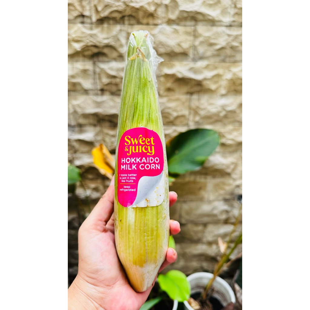 

Jagung susu / Milk Corn Hokkaido