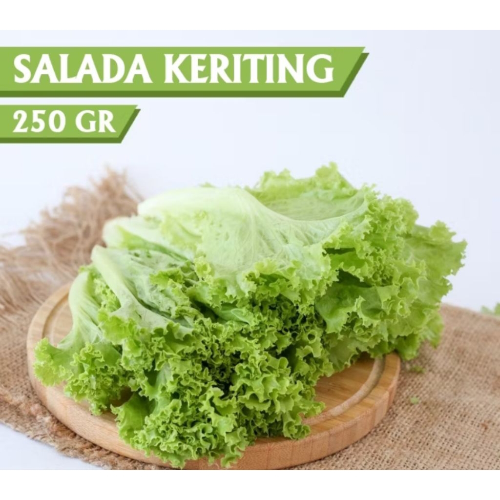 

selada keriting seladah bokor 250gram
