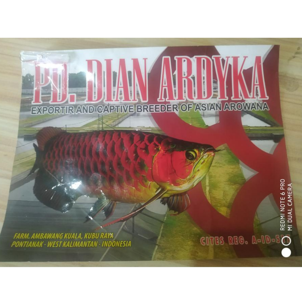 Sertifikat serti dan chip Arwana Arowana Super Red (SR) PD Dian Ardyka