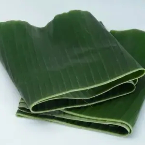 

Daun Pisang 1Ikat Besar