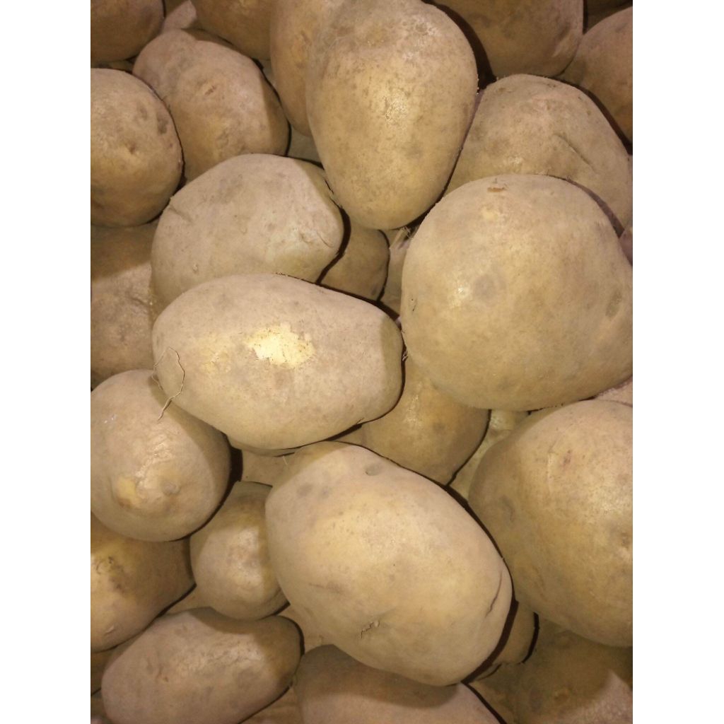 

Kentang bromo bersih 500gr, 1000gr FRESHH