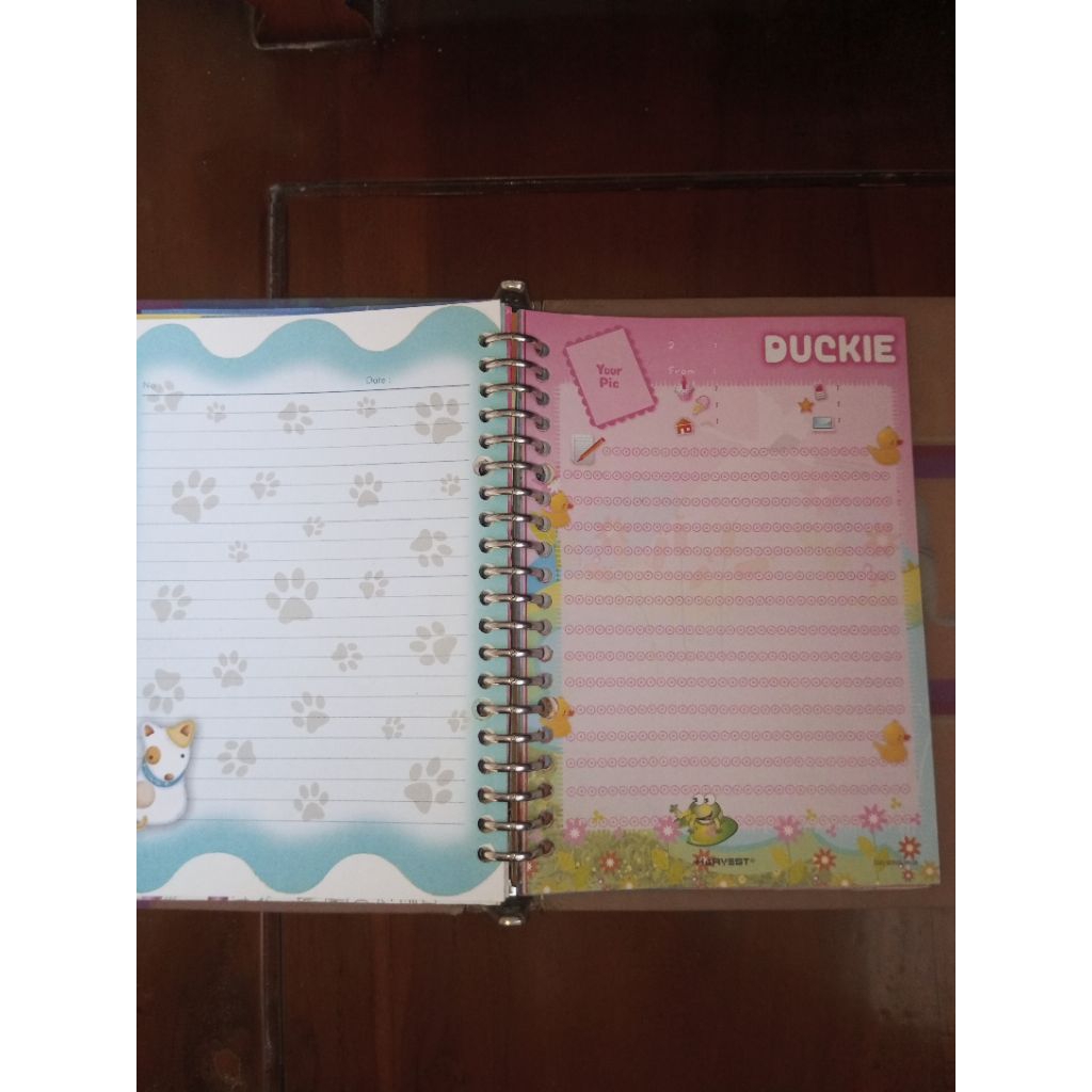 

All in Binder Koleksi pribadi binder dan isi Koleksi jadul /Binder A5 PAKET 9