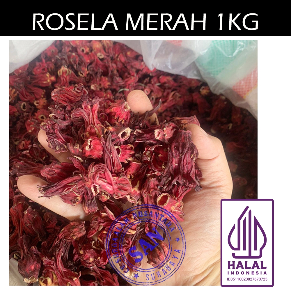 

Rosella Merah Rosela