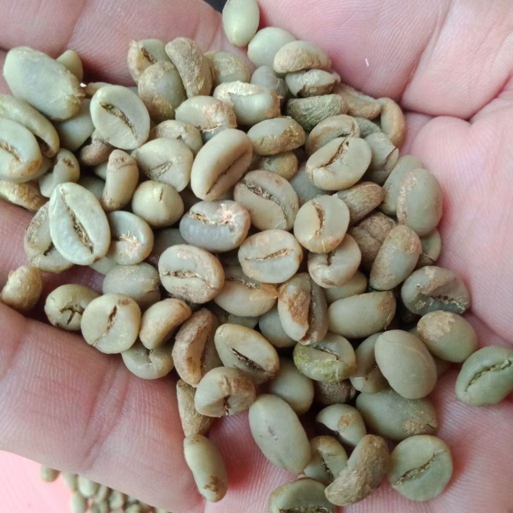 

kopi biji robusta Lampung/1kg