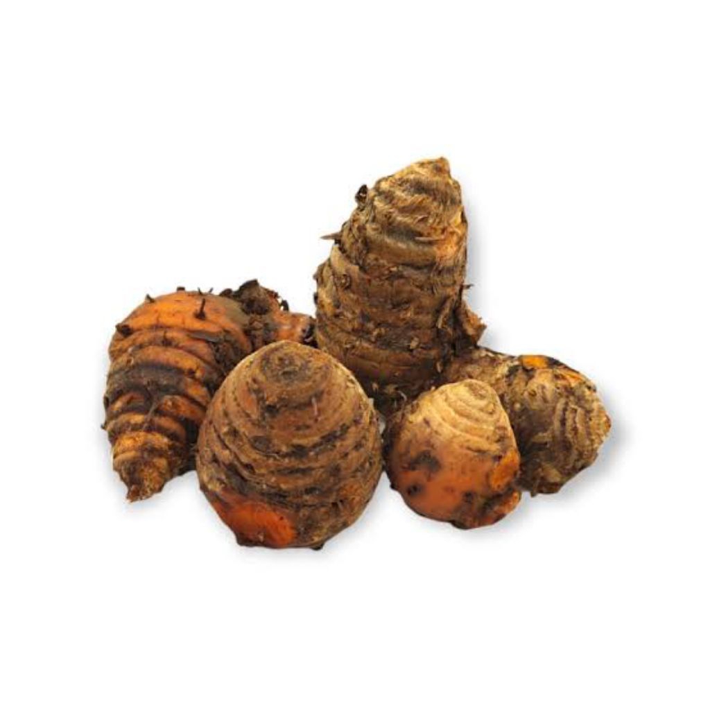 

Induk Kunyit / Biang Kunyit (Rempah Segar)