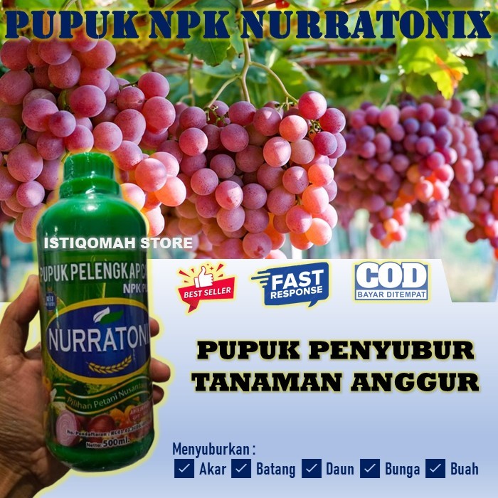 Pupuk Cair Anggur, Pupuk NPK NURRATONIX Cair Penyubur Tanaman Anggur, Pupuk Penyubur Daun Batang Aka