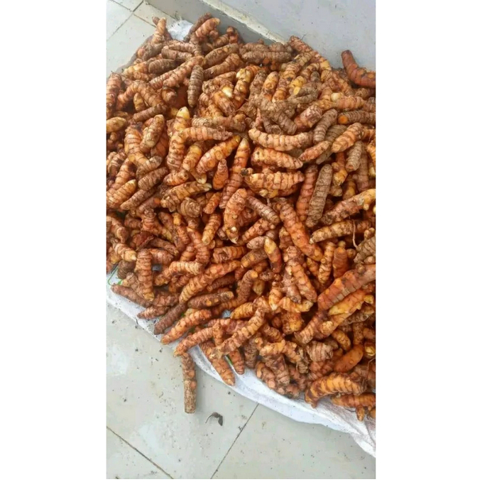 

kunyit segar 1kg / kunyit empu 1000gr