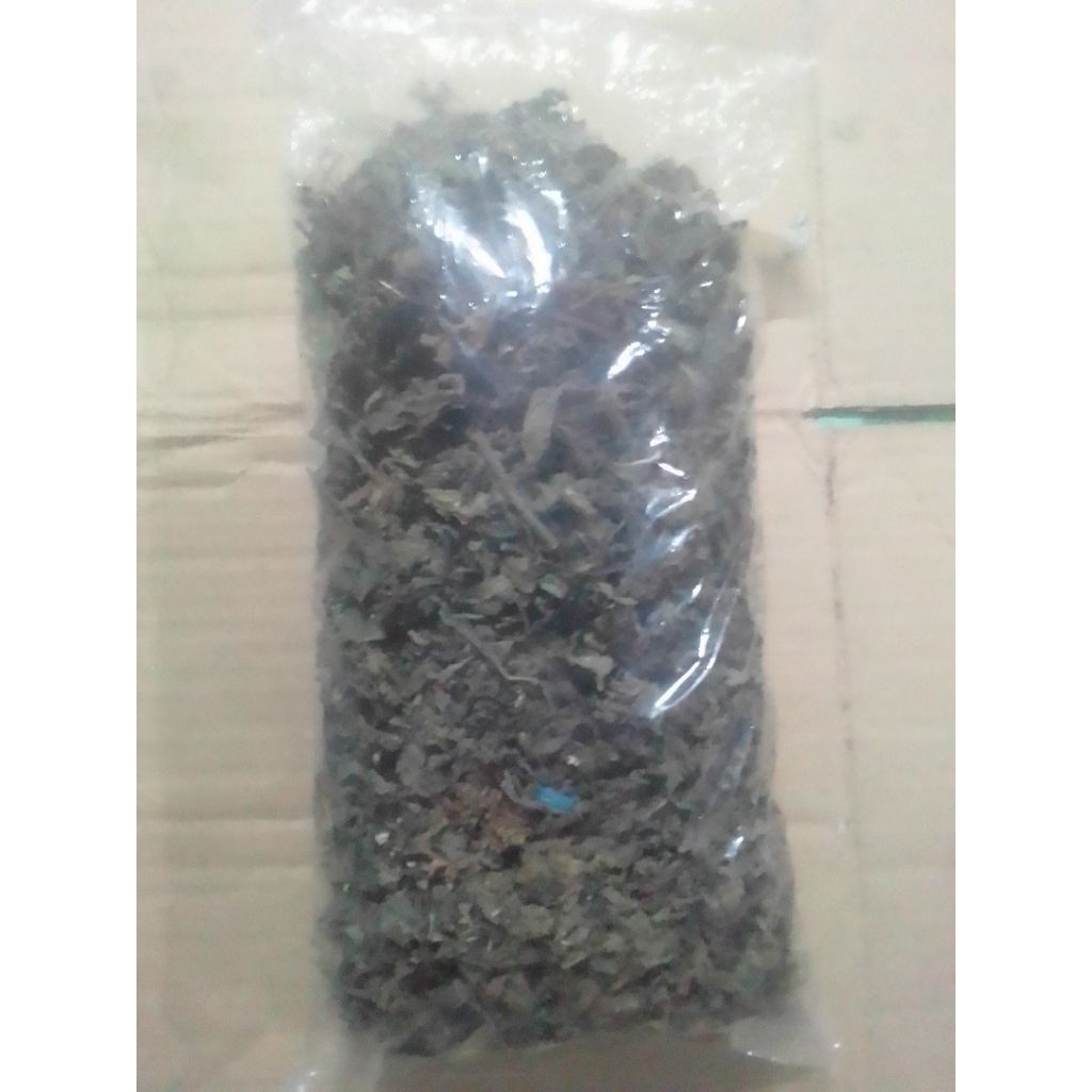daun janggelan/cincau hitam kering super asli dari pegunungan PACITAN