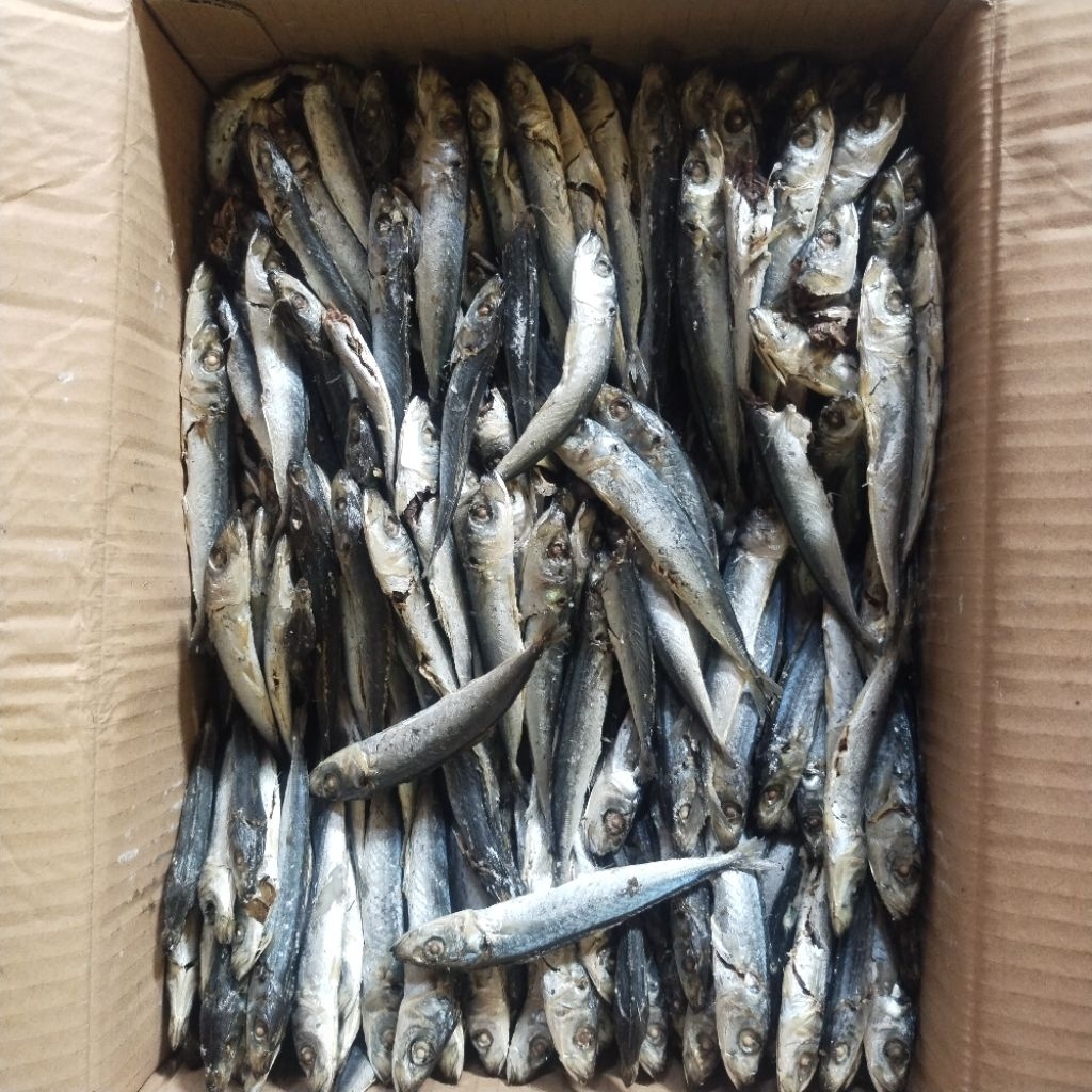 

Ikan Asin Layang rebus Murah