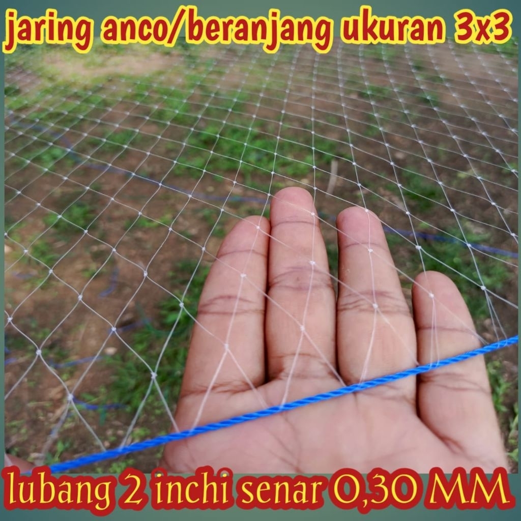 jaring ikan/anco beranjang ukuran 3x3 meter lubang 2 inch senar 0,30 alat ikan teradisional cocok un