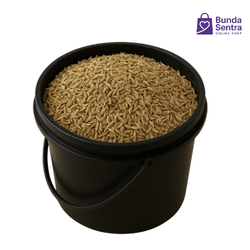 

Adas Manis 100gr – Rempah Herbal Aromatik untuk Masakan & Minuman Sehat