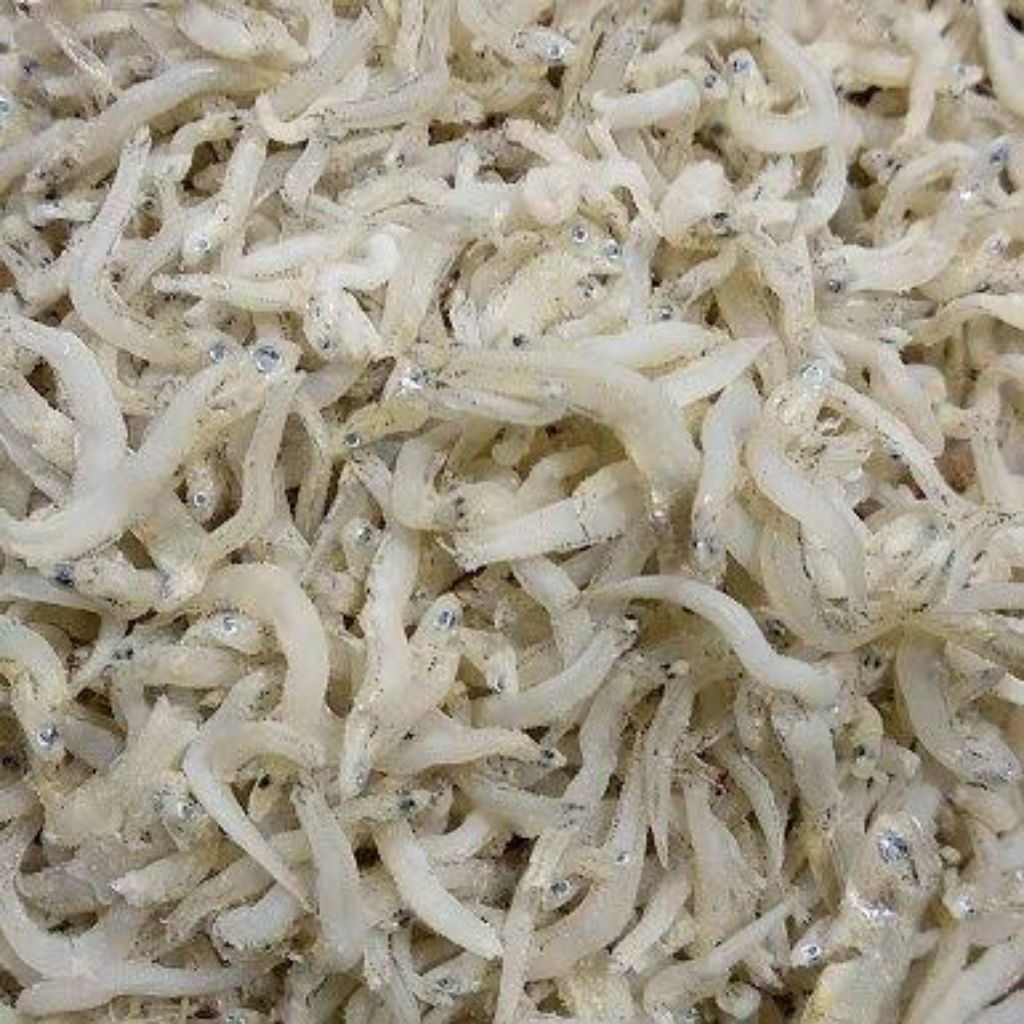 

Ikan Teri Medan 100 g