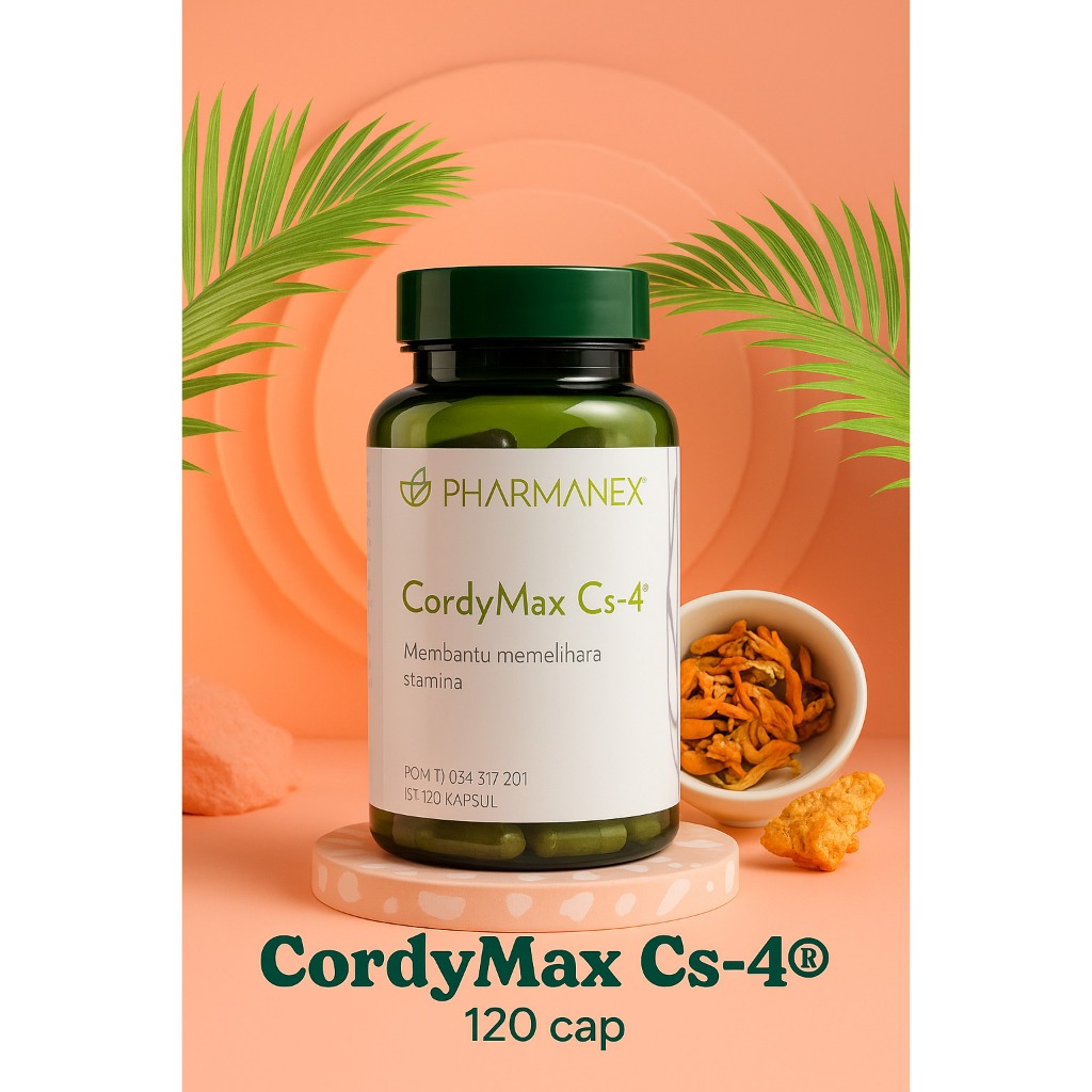 CordyMaxx Cs-4 - 120 MAx Cordy ( 068 )