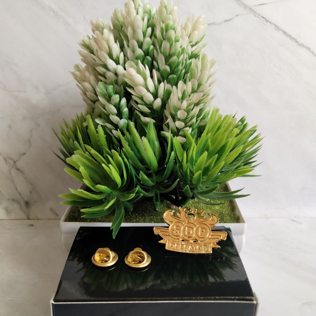 PIN IMIPAS SDP OPERATOR non akrilik terbaru