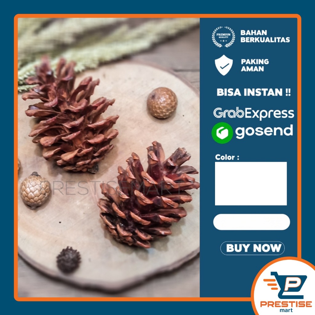 PINUS KERING / Hiasan Parcel / Hampers / Rustic / foto produk / vintage / hantaran (3bh)