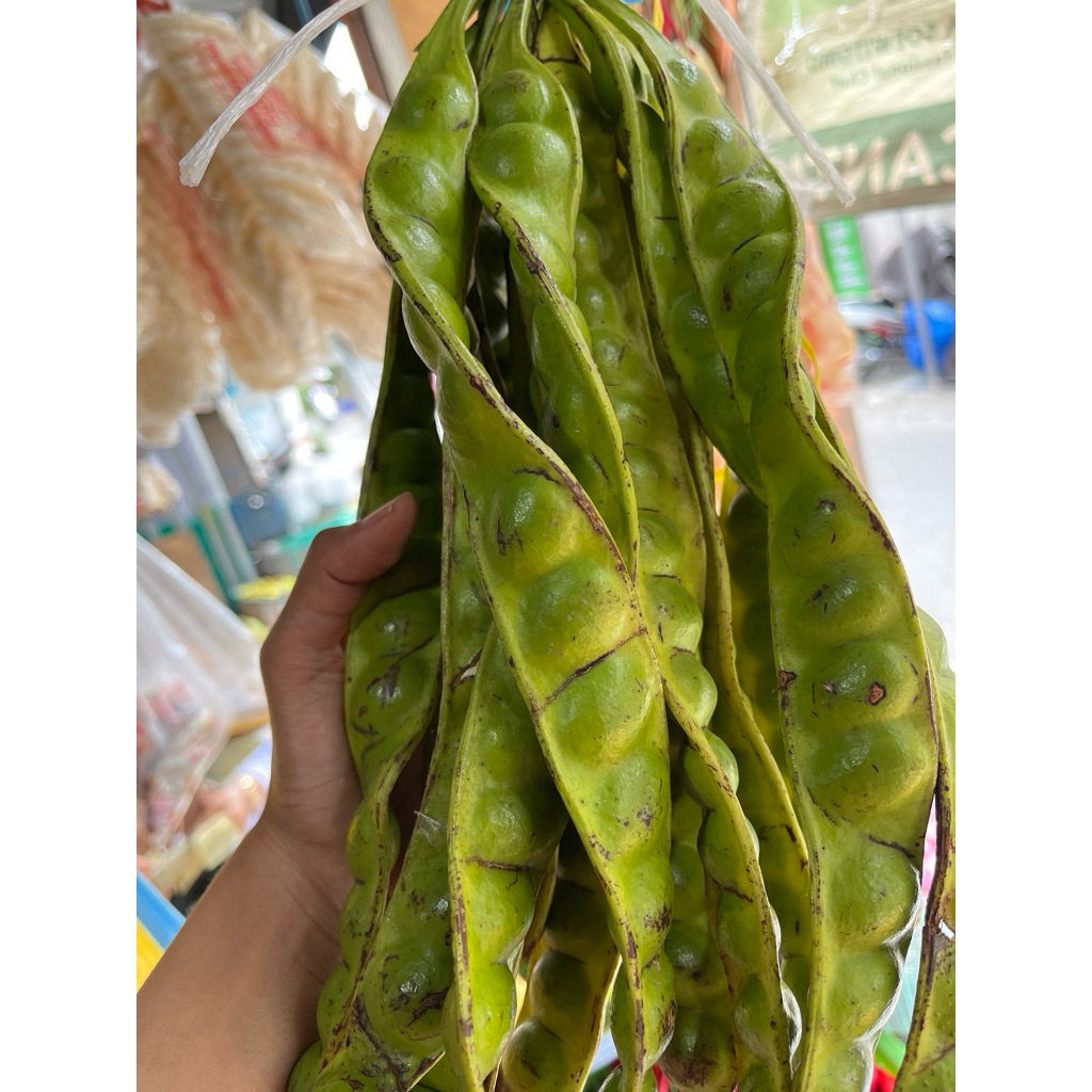 

pete per satuan | pete 1 batang