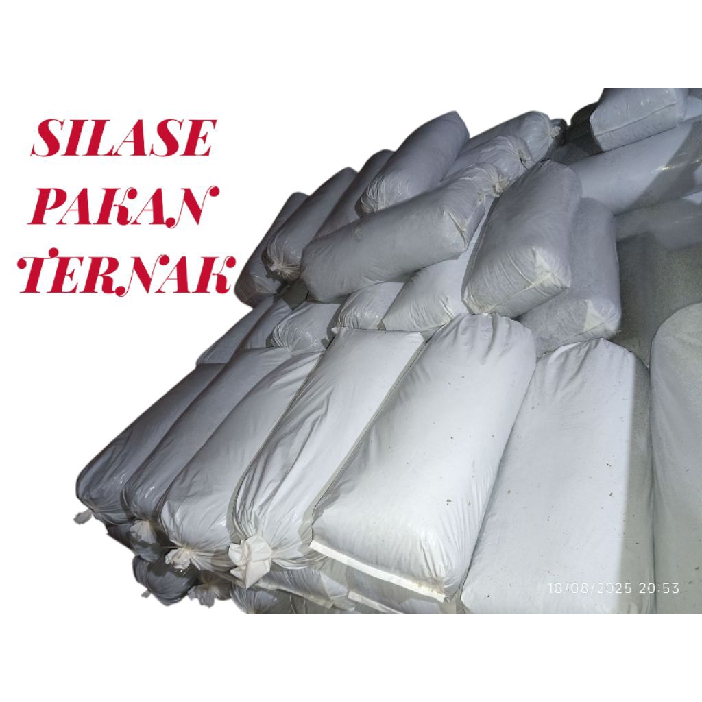 SILASE TEBON JAGUNG 25KG | PAKAN TERNAK