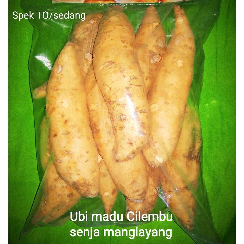 

ubi madu Cilembu spek TO/sedang, 1kg isi 6,8,10