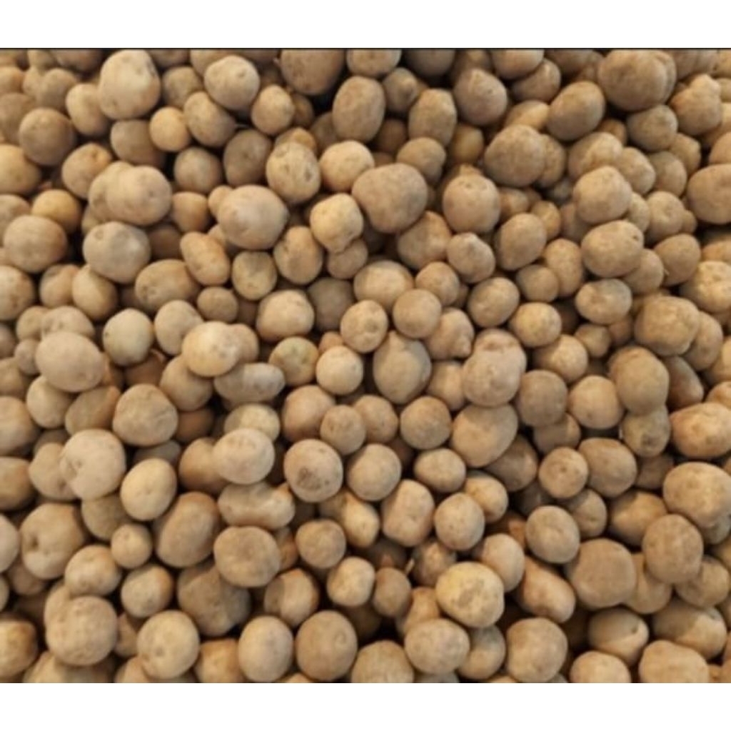 

Kentang Granola Ares/ baby potato 1 Kg