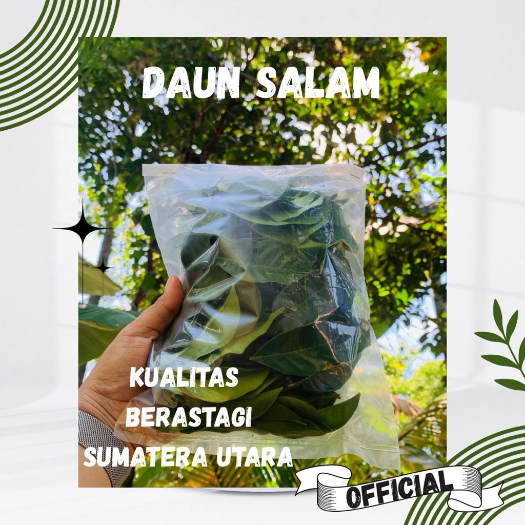 

Daun Salam kemasan 1Kg kering || DaunSalam Berastagi premium quality langsung petani