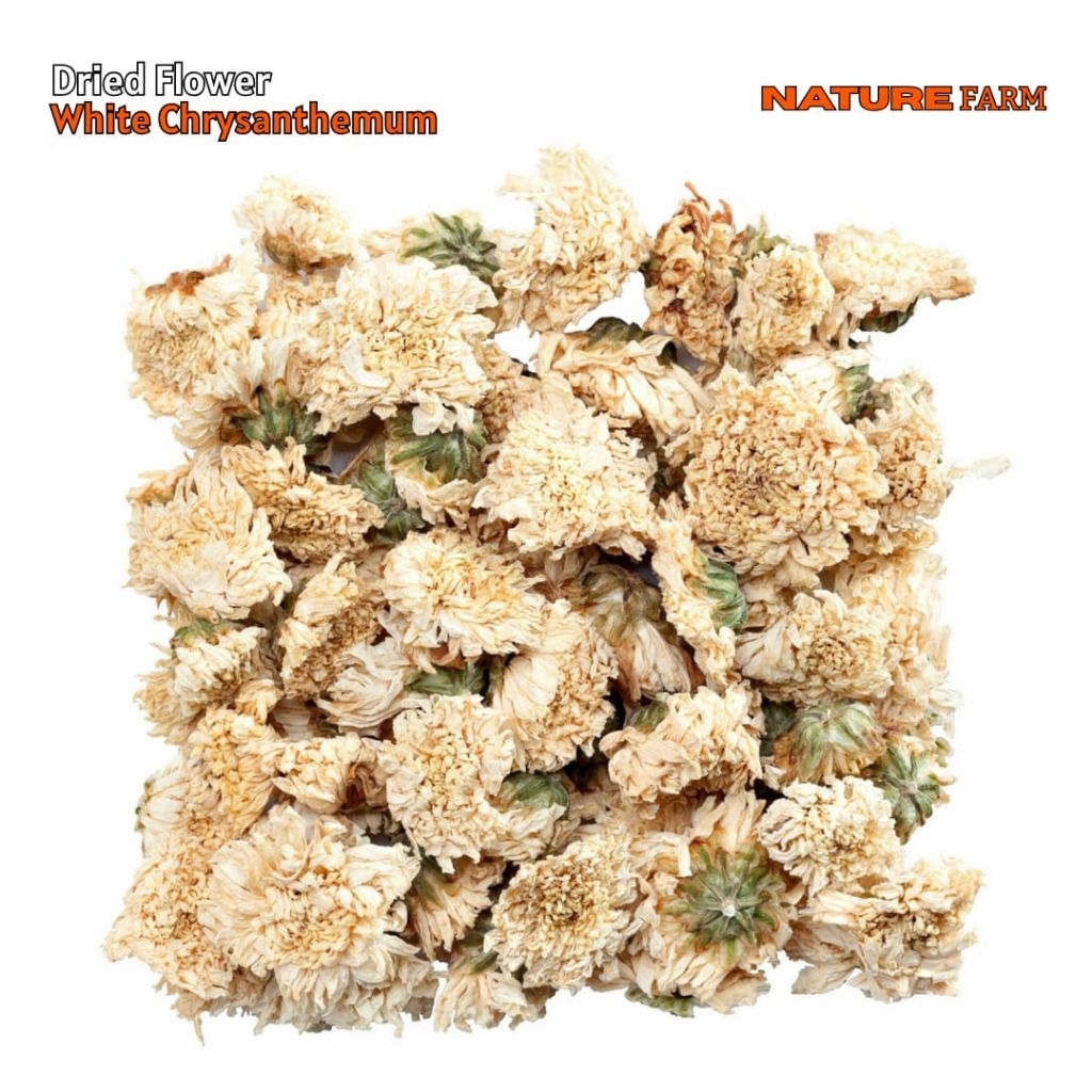 

Nature Farm Premium White Chrysantemum Tea /Teh Bunga Krisan Putih 250gr 500gr 1kg