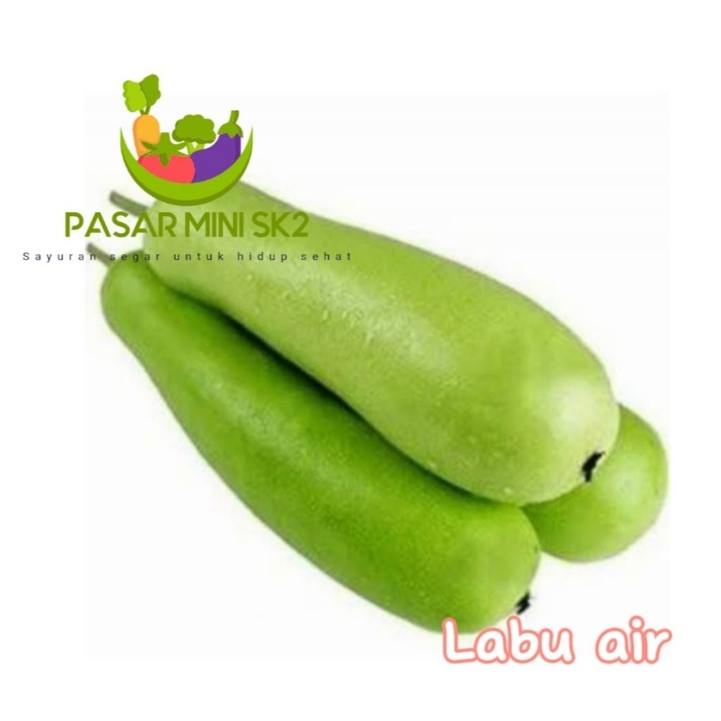 

sayur labu 1pcs