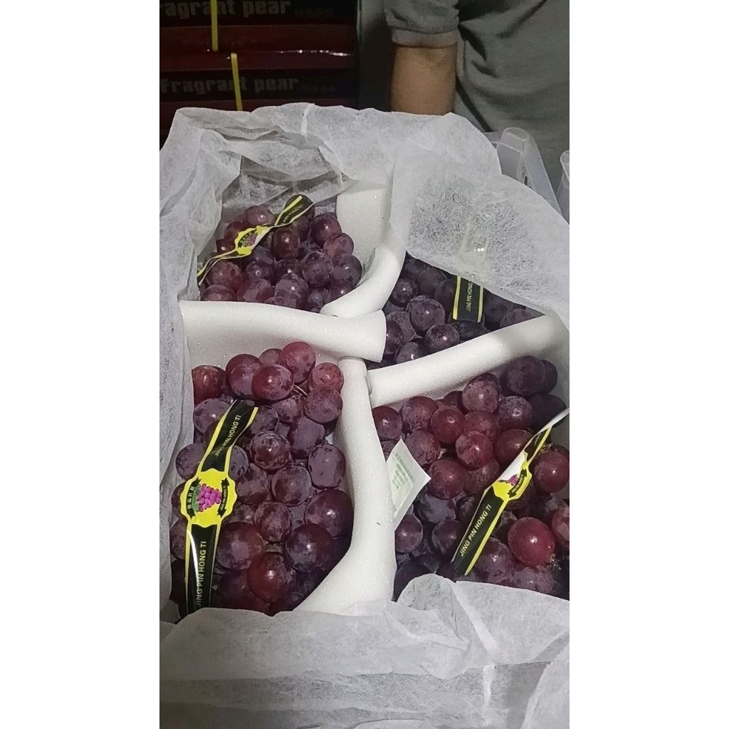 

BUAH ANGGUR MERAH RED GLOBE KRANJANG