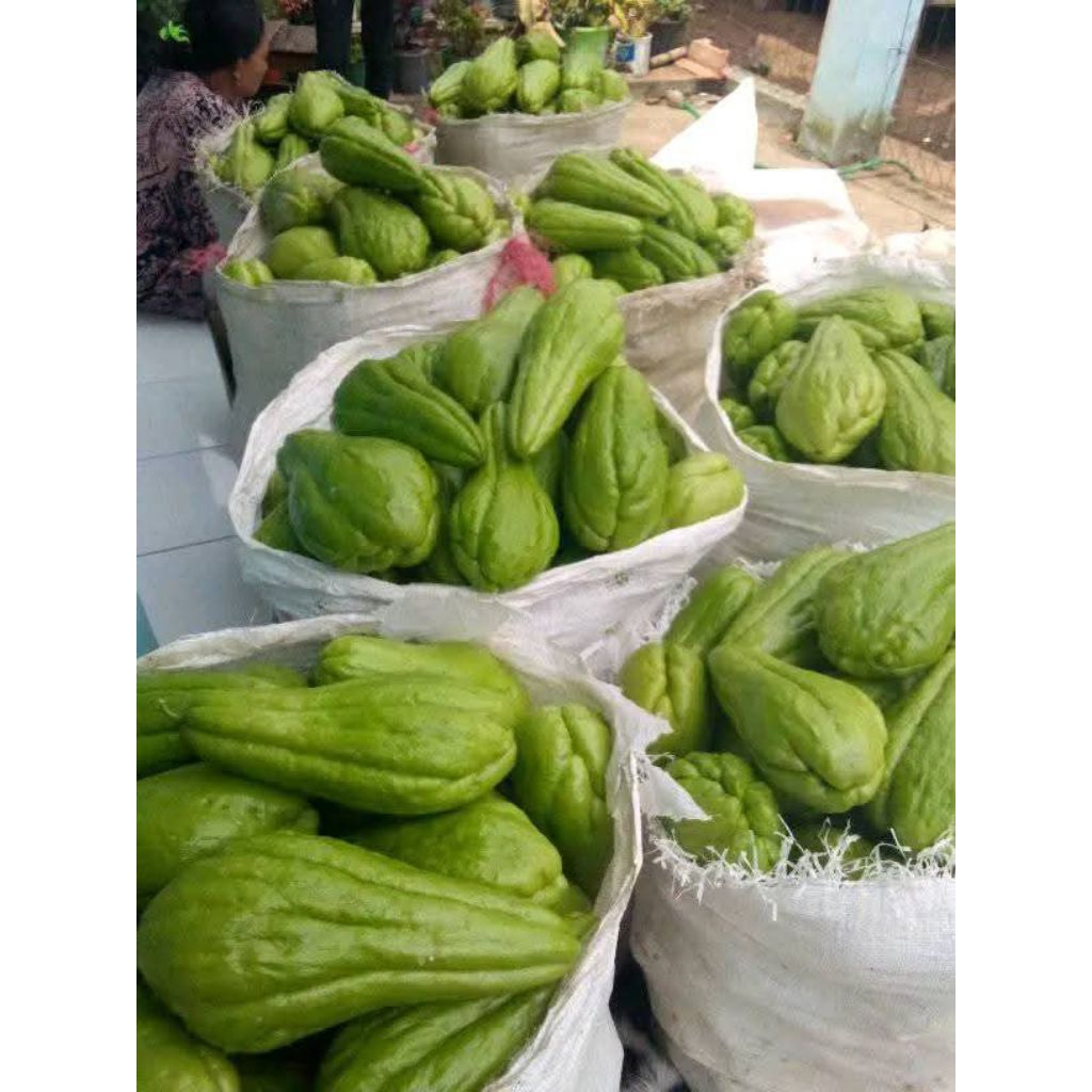 

Labu Siam jumbo/Waluh Cina jumboKualitas Terbaik /1kg