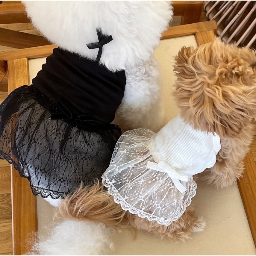 Baju renda suspender rok Summer Poodle Bichon pakaian anjing kecil Kucing Anabul Cute - BA96