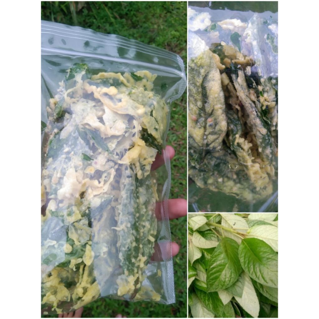 

Keripik herbal daun reundeu 200 gram