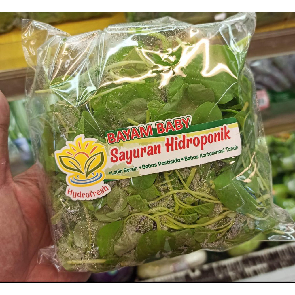 Bayam Baby Hidroponik  Fresh / Sayur Baby Bayam / Pack