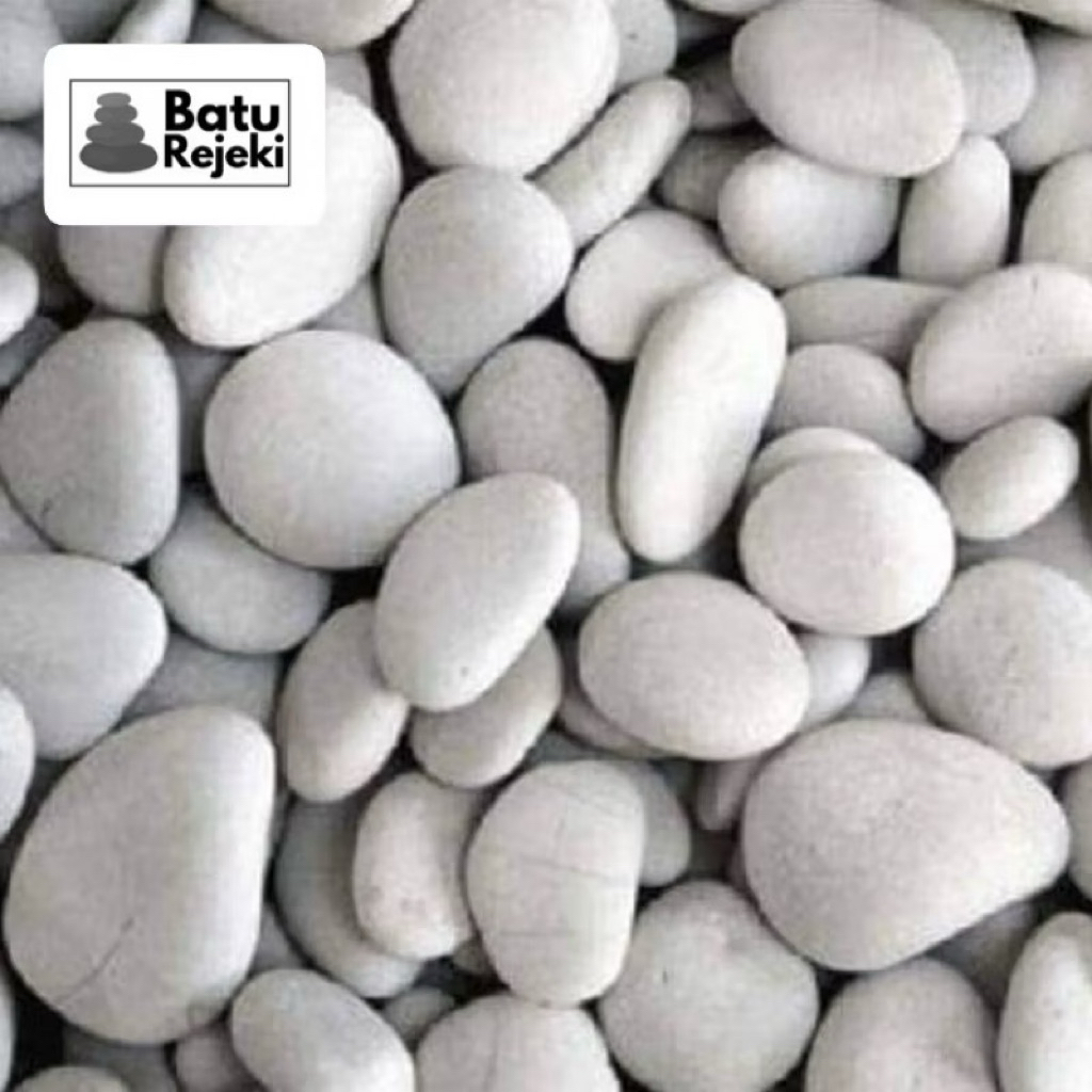 Batu Hias Koral Putih Kupang dekorasi taman, pot, aquarium hiasan makam