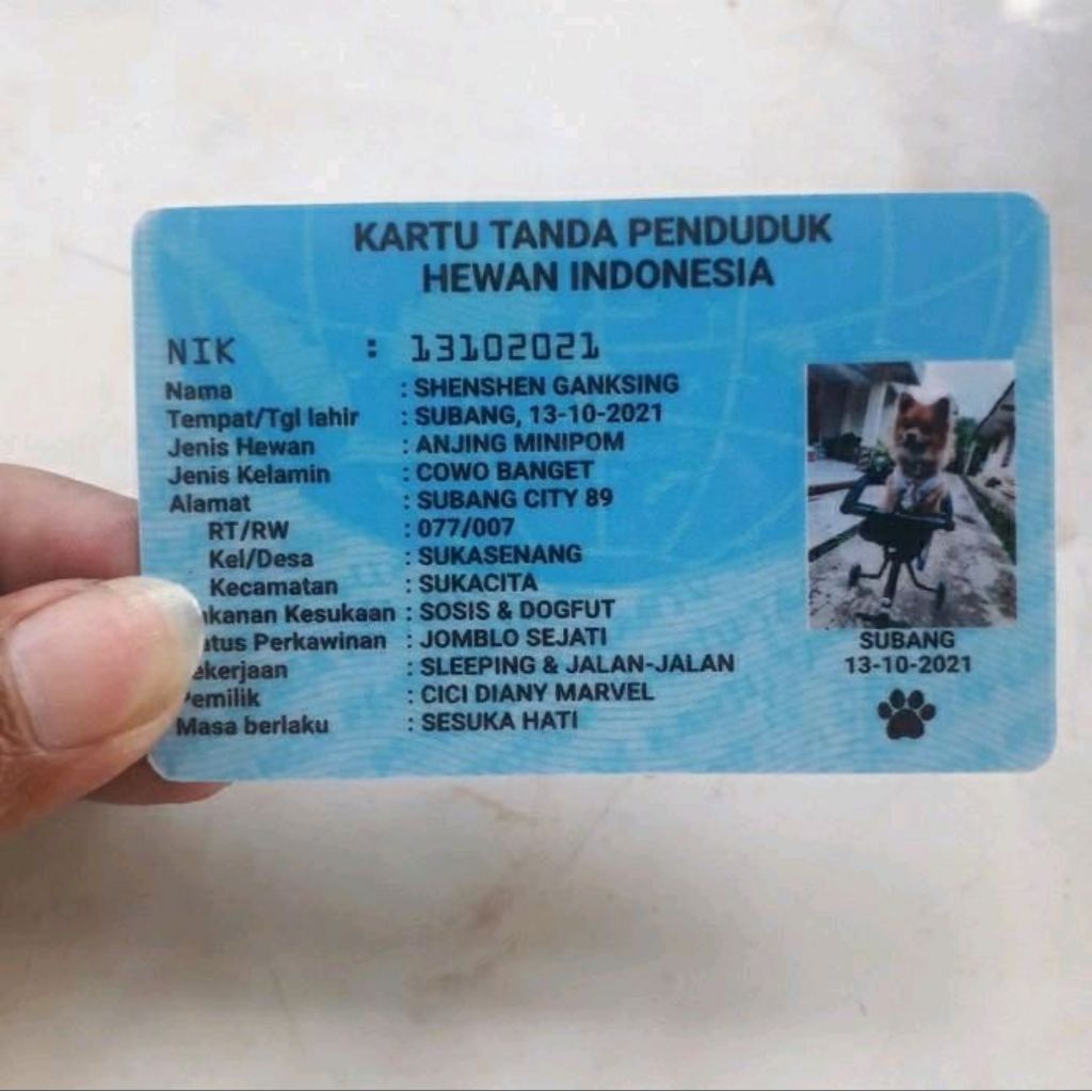 

Kartu Identitas Hewan ( kucing, anjing, ayam dll )