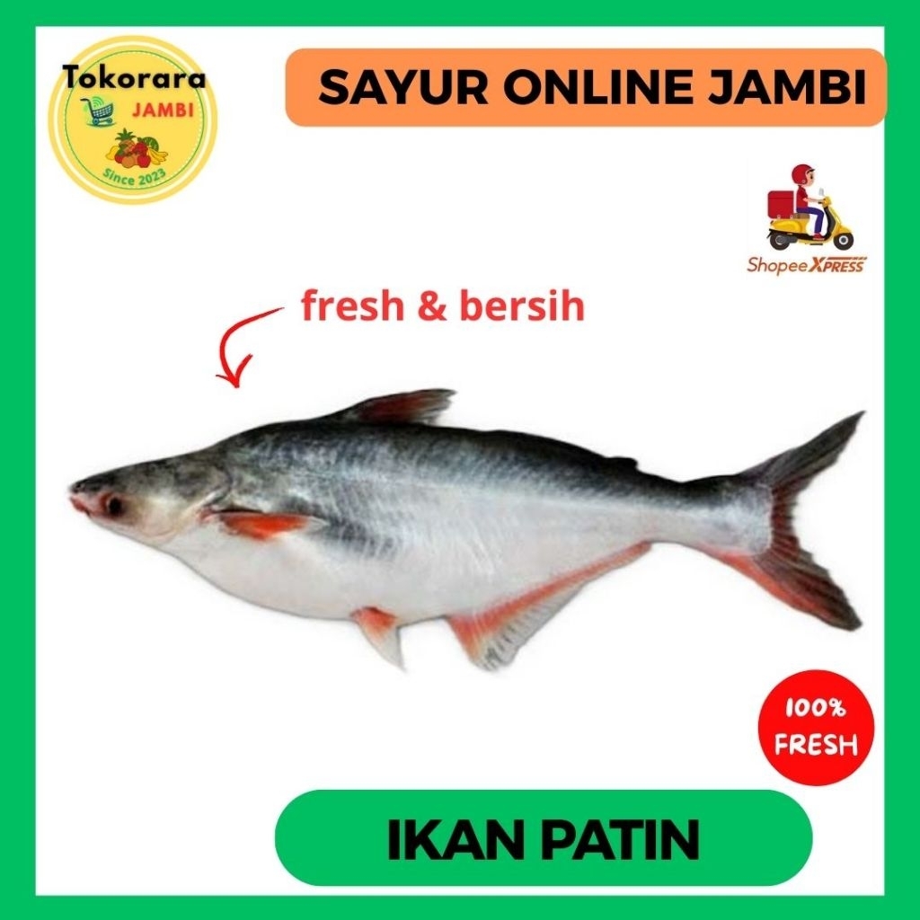 

INSTAN Ikan Patin fresh/hidup-tokorara.jambi