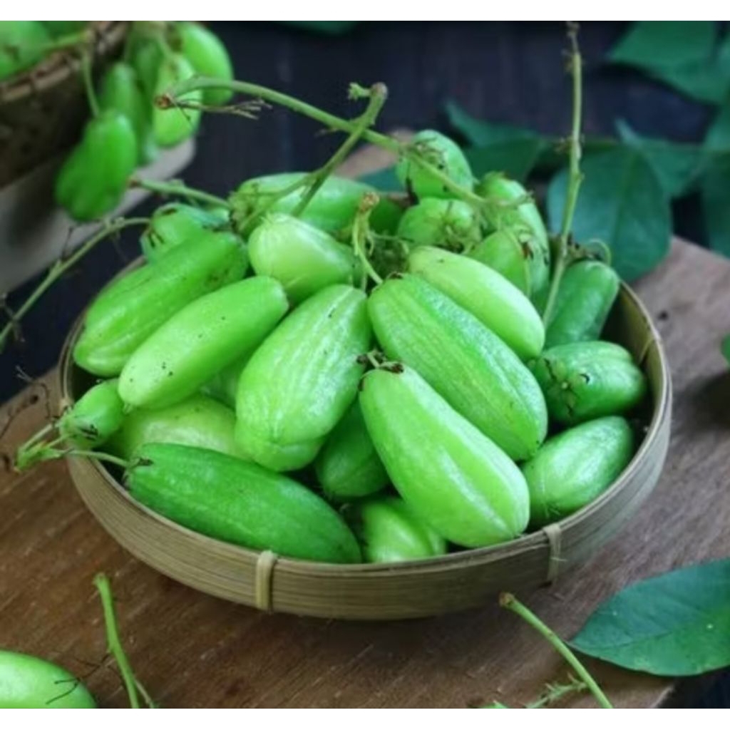 

blimbing wuluh segar