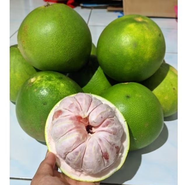 

Jeruk Pamelo madu Muria 700gr-900gr