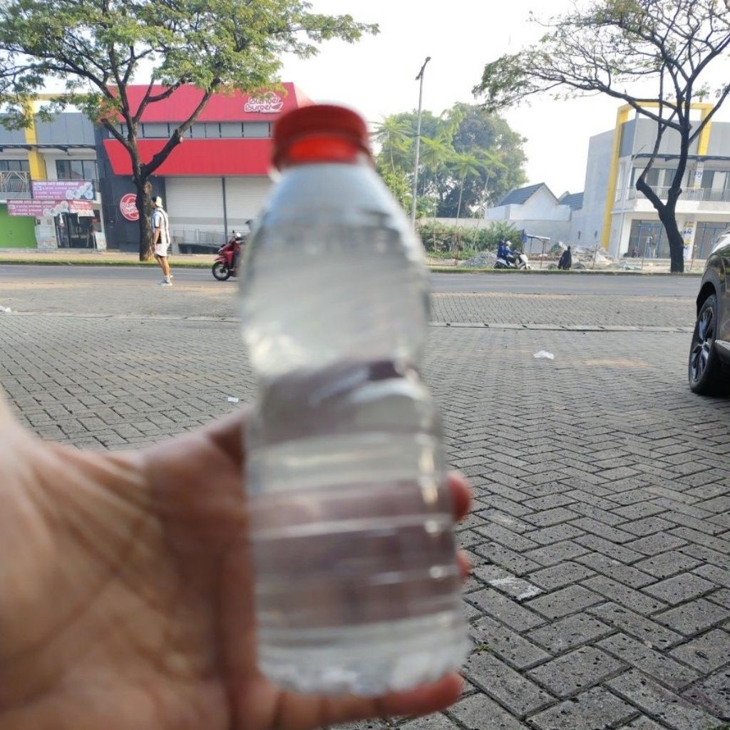 

Air Kelapa Muda Murni 200 mili. Coco water 200 mili. Murni air kelapa muda. Khusus instan