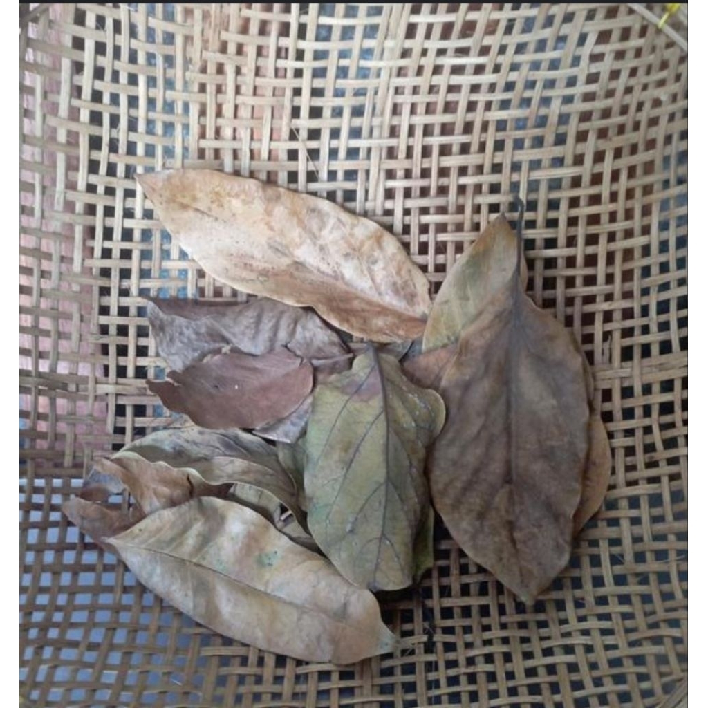 

Daun alpukat kering alami 100 gram