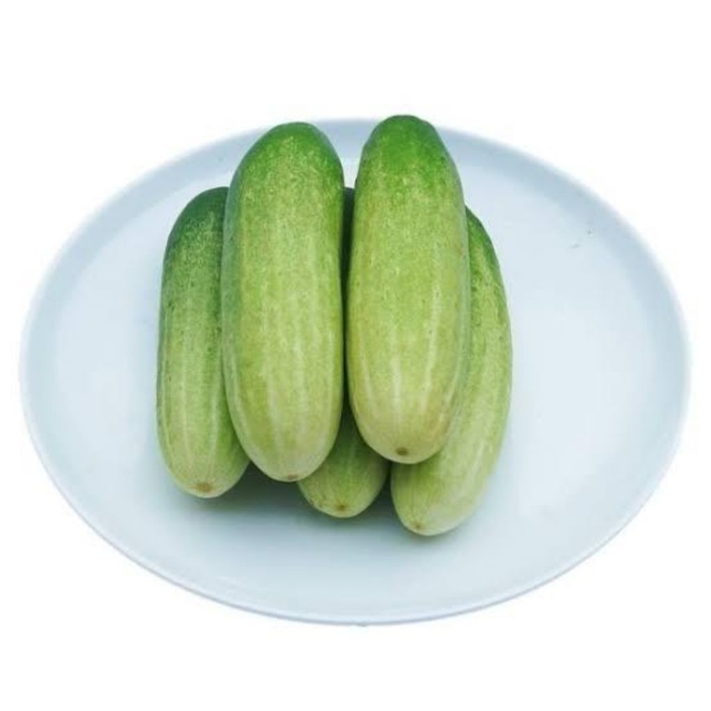 

Timun segar organik sayur lalapan fresh 1kg