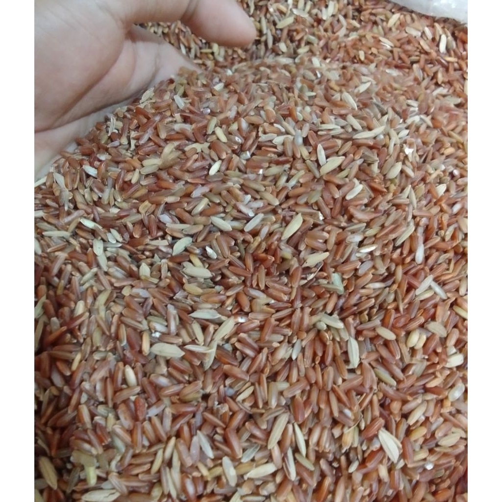 

Beras merah untuk peternak Paket 5 Kg