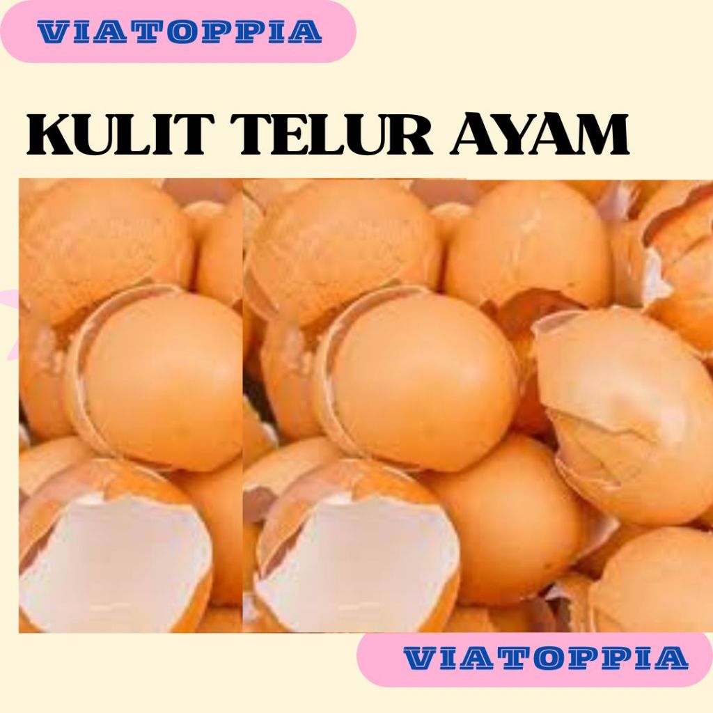 CANGKANG TELUR AYAM