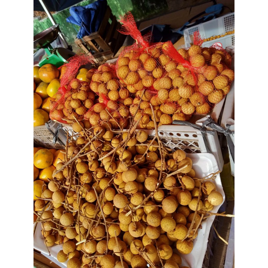 

kelengkeng label merah super manis