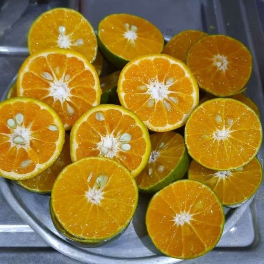 

jeruk peras Pontianak manis segar