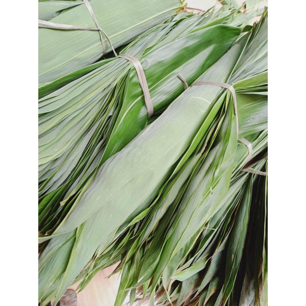 

daun bambu 50lembar masih mulus siapa krim