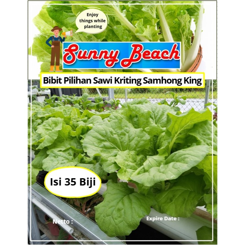 Bibit Pilihan Sawi Kriting Samhong King | Biji Benih Sawi Kriting Samhong King | Samhong King