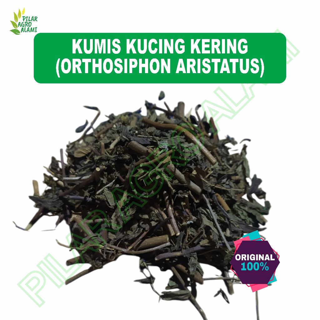 

Kumis kucing yang sudah dikeringkan