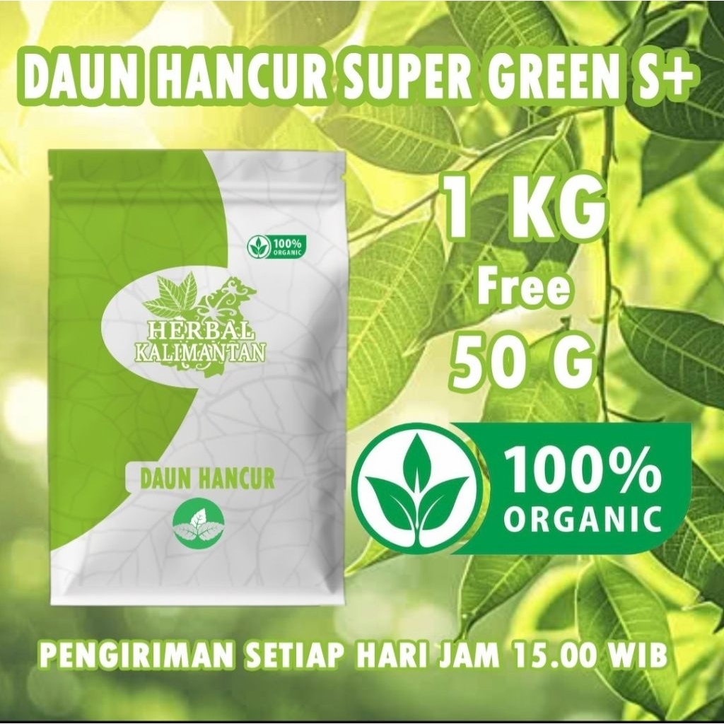 

Daun Hancur 1KG | Herbal Kalimantan