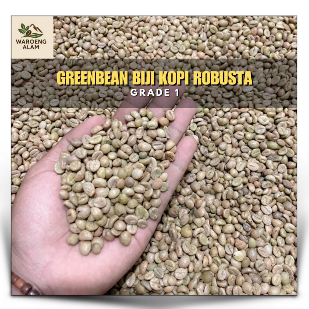 

Green Bean Kopi Robusta Grade 1 – Biji Mentah Premium untuk Roasting, frees dari petani lokal