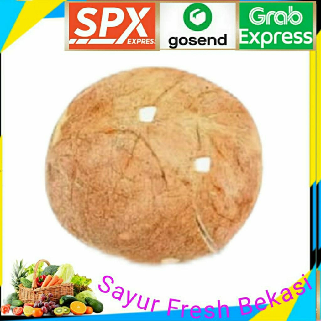 

Kelapa Bulat Kopong (Tanpa Air).